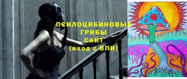 спиды Липки