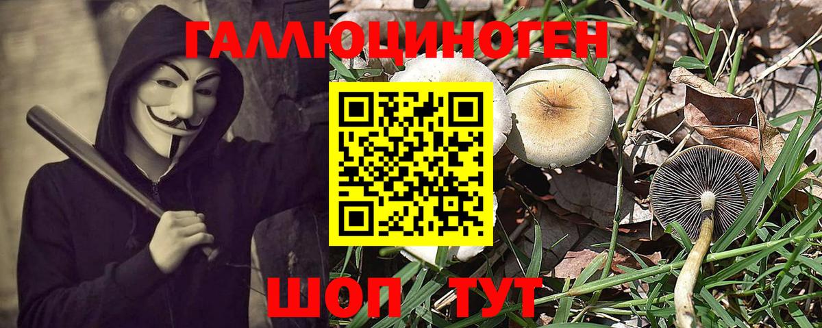 Псилоцибиновые грибы Psilocybine cubensis  Вход с VPN  Мурино 